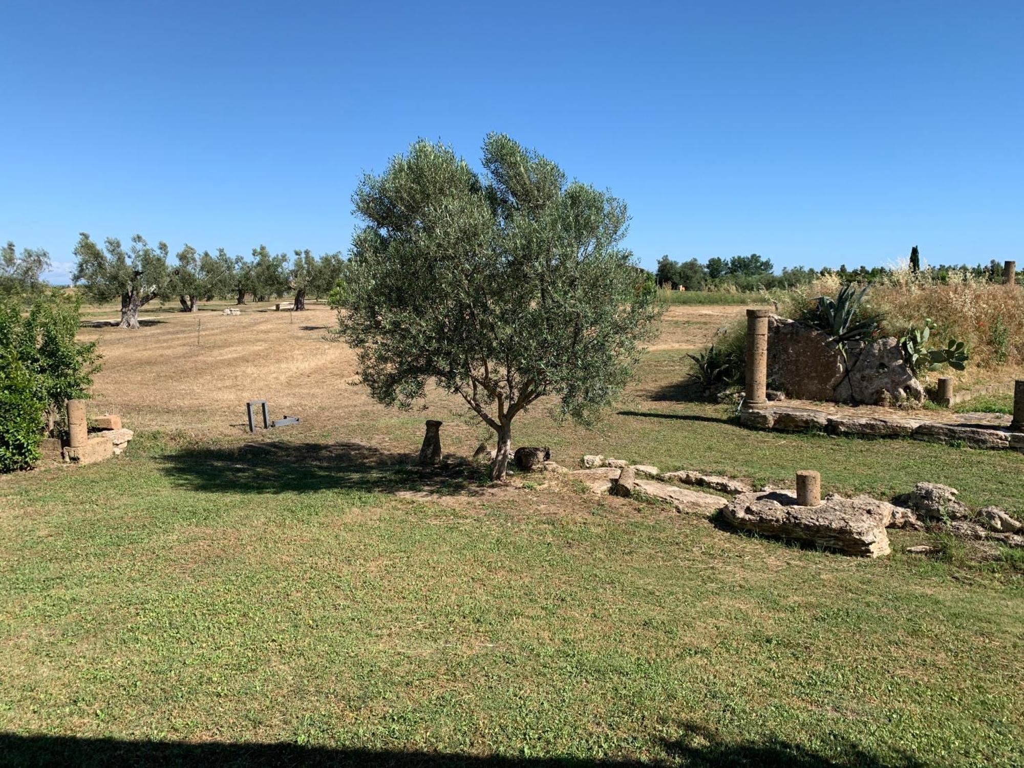 Resort Fonte Vulci Canino 外观 照片