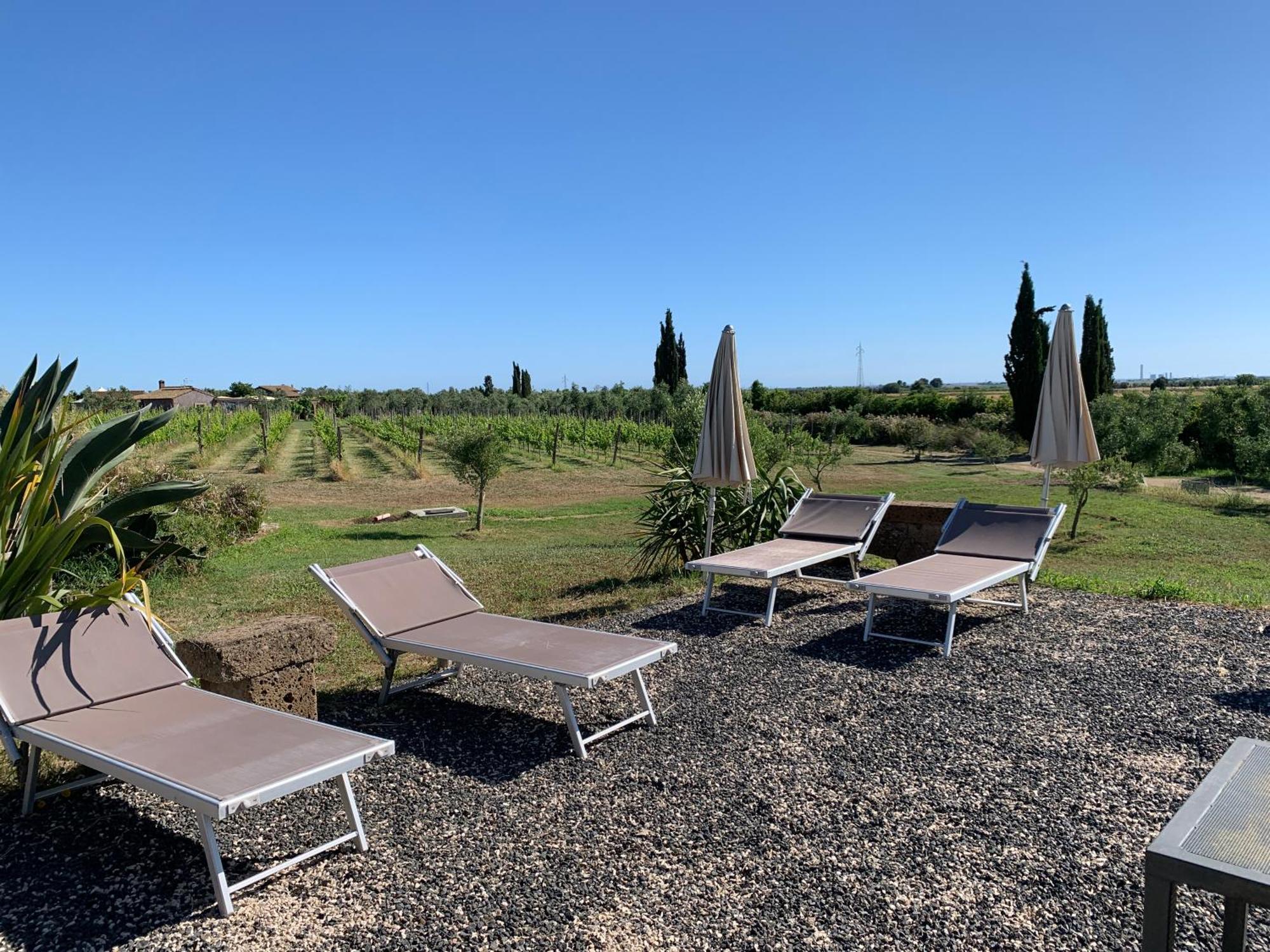 Resort Fonte Vulci Canino 外观 照片